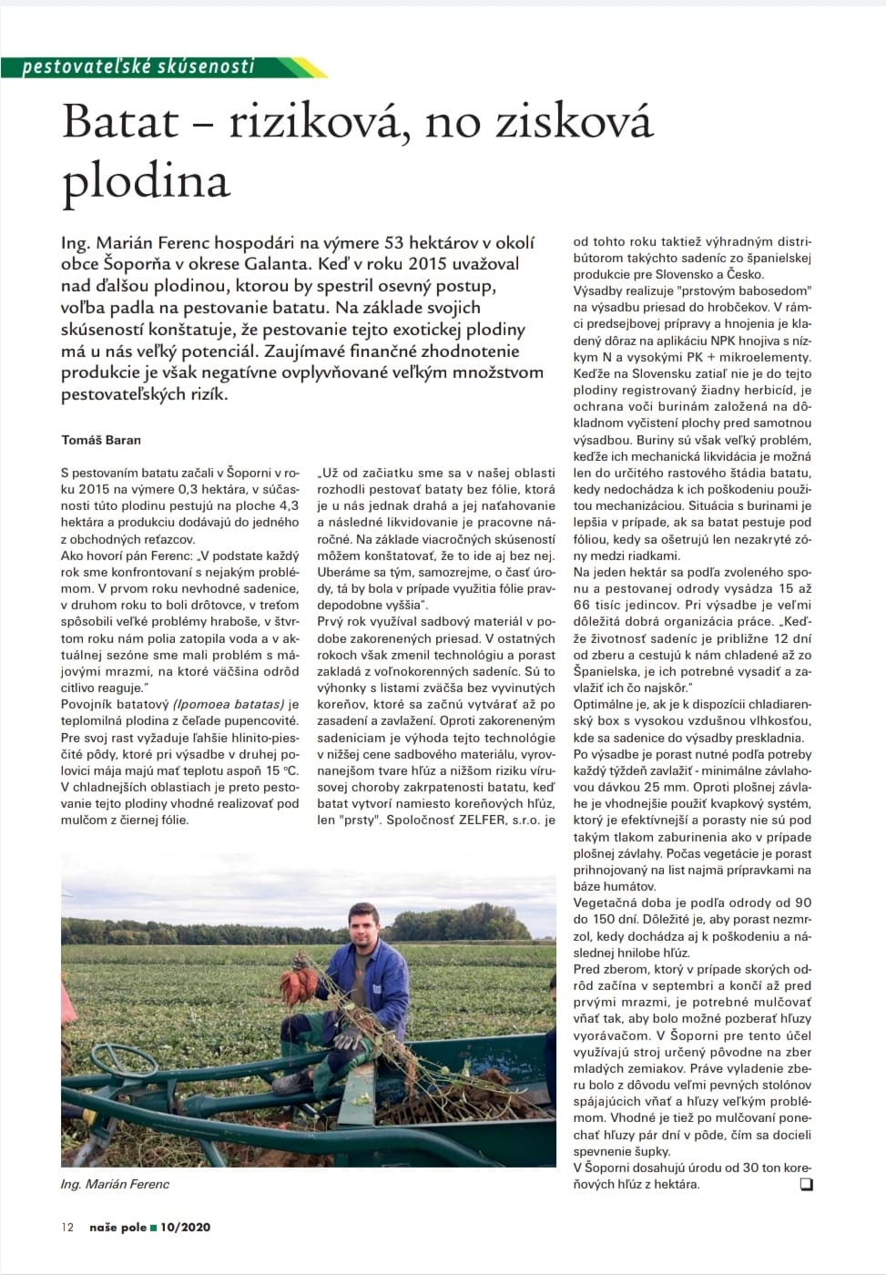 Článok v mesačníku Naše pole - pestovanie batátov - Zelfer